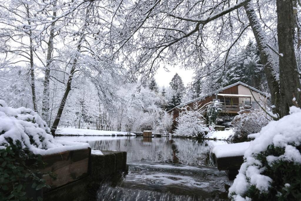 Du Ruisseau * Epinal
