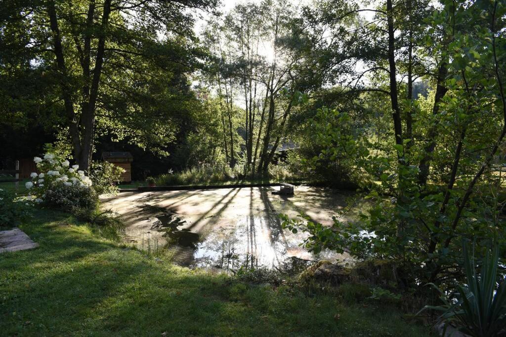Du Ruisseau *
