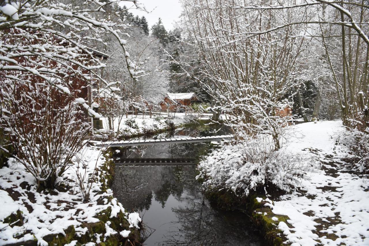 Du Ruisseau Holiday home *